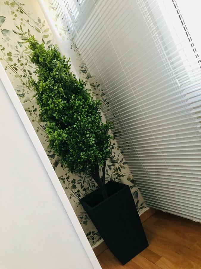 Apartamento Good Vibes Lägenhet Zaragoza Exteriör bild